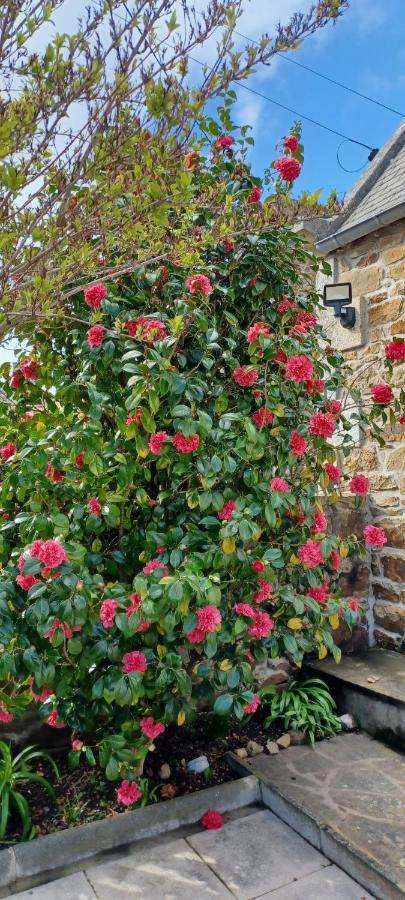 Villa Cote De Granit Rose Pleumeur-Bodou Esterno foto